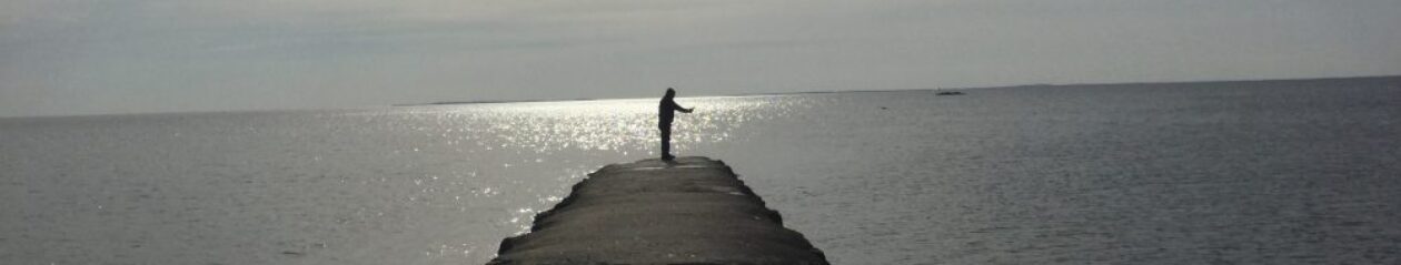 Jason Matthew Malli, MFA, MALS